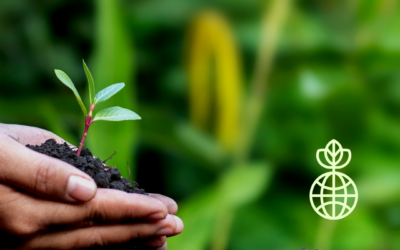 Can WFH Save the World?