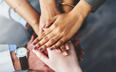 Behind the Scenes: Our LVAs at Work