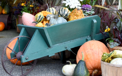 The Office Cornucopia